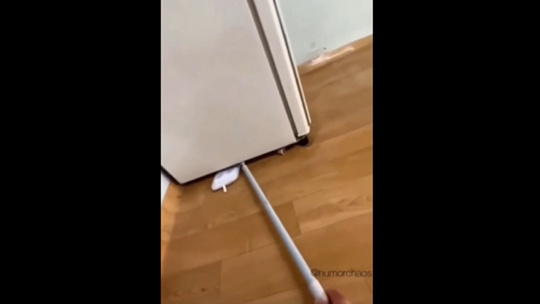 Κρυβόταν μια τρομακτική έκπληξη κάτω από το ψυγείο 